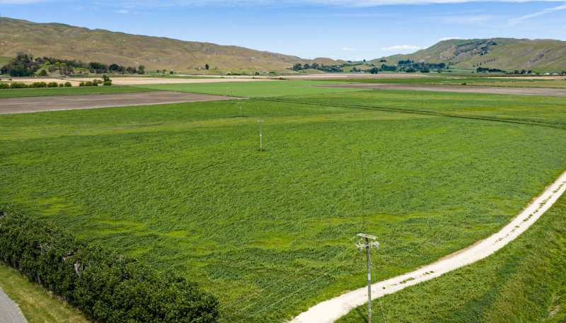 85 West Road, Havelock North