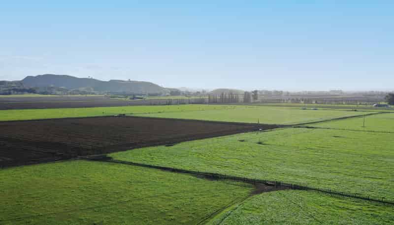 85 West Road, Havelock North