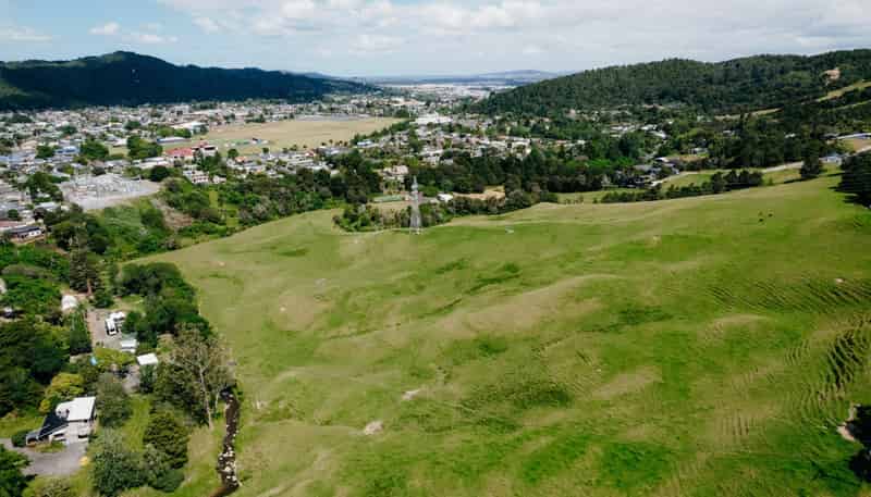 48 Bedlington Street, Whau Valley
