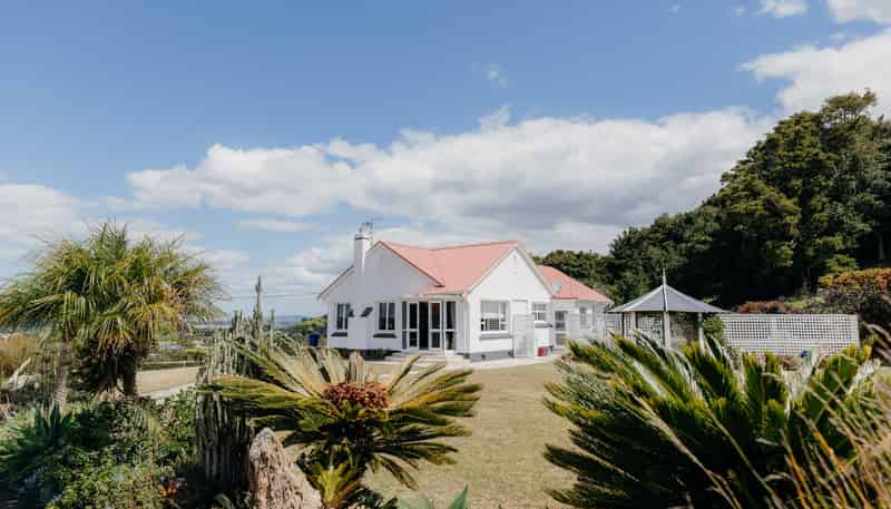 48 Bedlington Street, Whau Valley