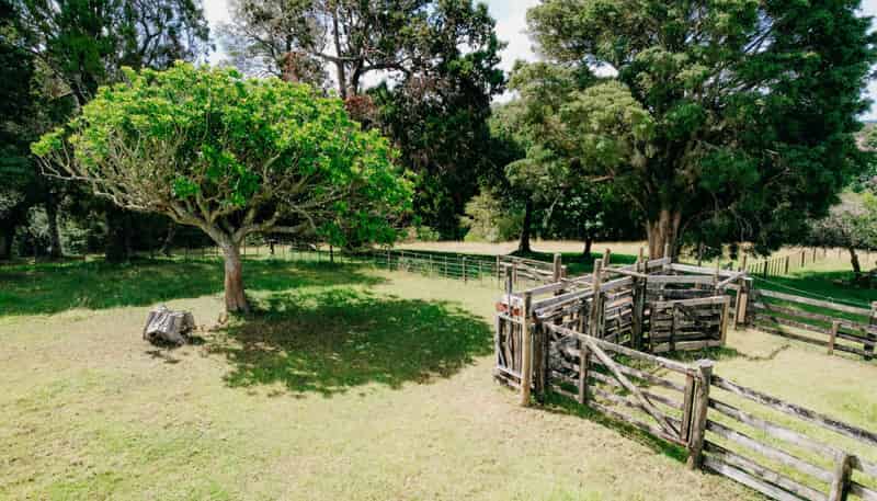 48 Bedlington Street, Whau Valley