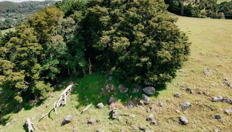 48 Bedlington Street, Whau Valley