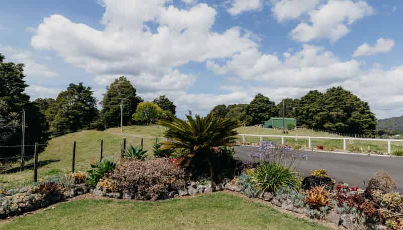 48 Bedlington Street, Whau Valley