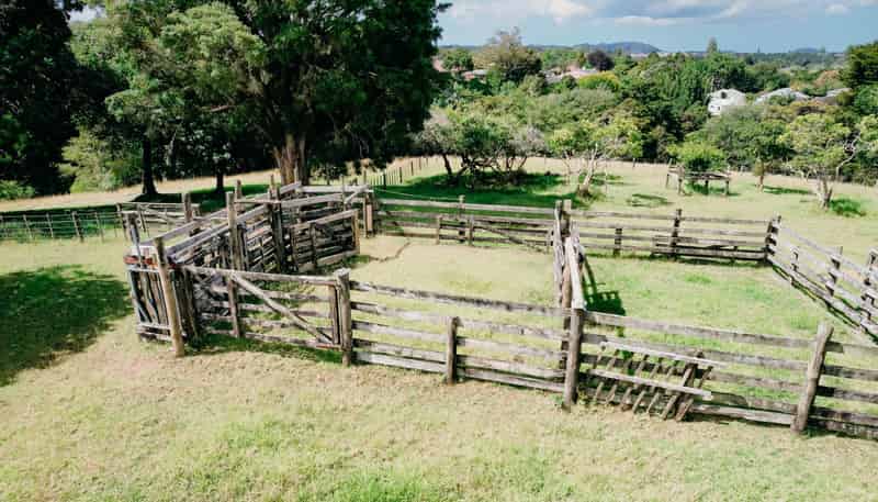48 Bedlington Street, Whau Valley