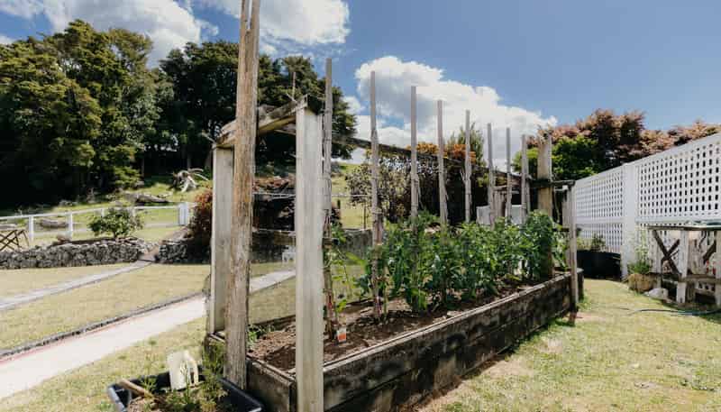48 Bedlington Street, Whau Valley