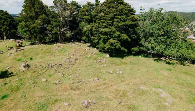 48 Bedlington Street, Whau Valley