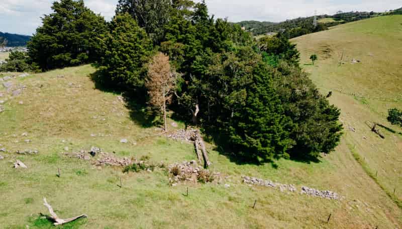 48 Bedlington Street, Whau Valley