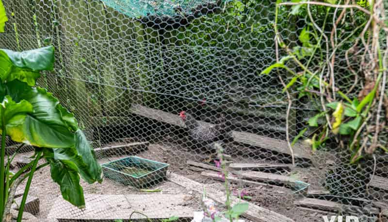 25 Prospect Terrace, Johnsonville