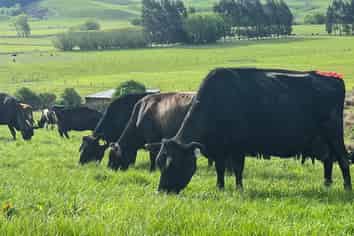 63 Howe Road, Waikaka