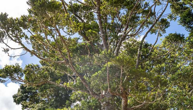 1140 Russell Road, Helena Bay