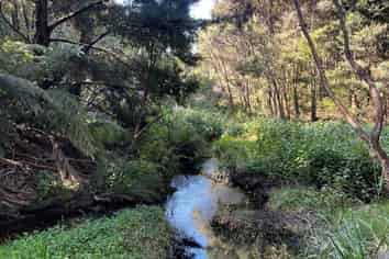  Mangawhai Bush Estate, Mangawhai