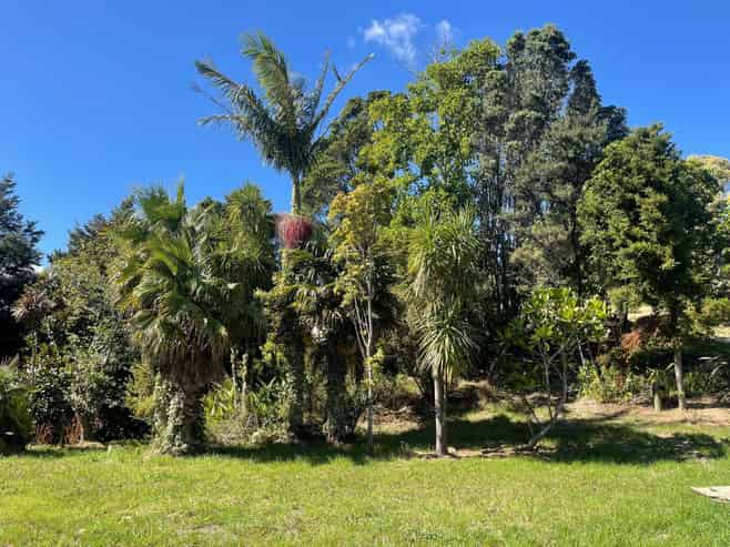  Mangawhai Bush Estate, Mangawhai