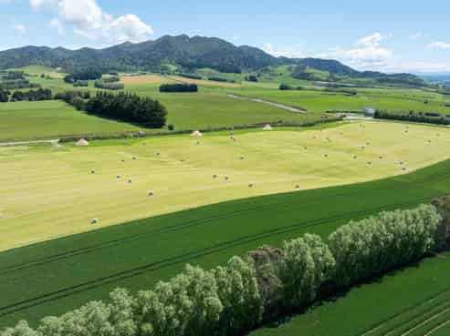 205 Reaby Road, Gore