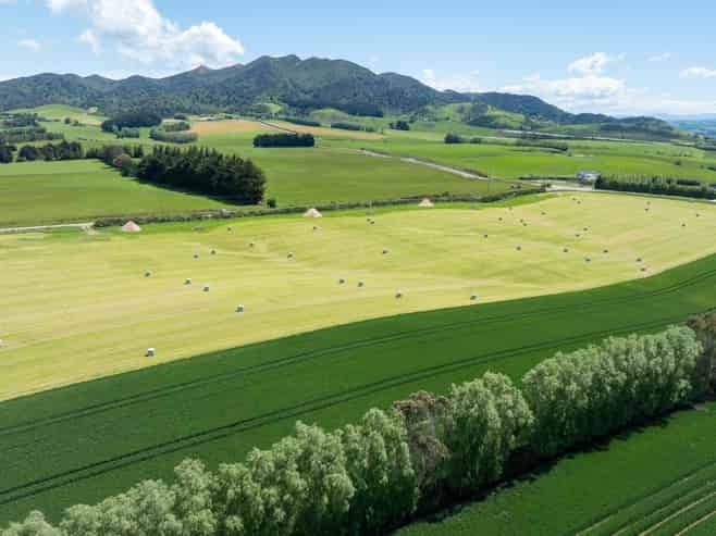 205 Reaby Road, Gore