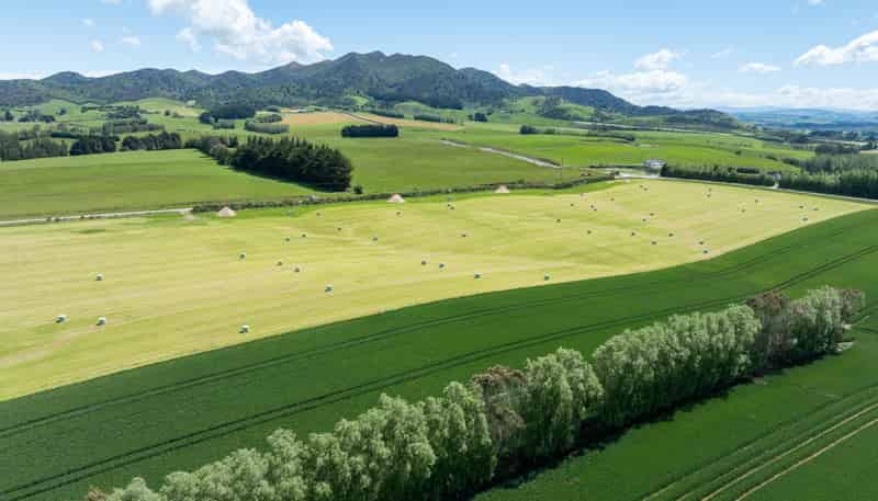 205 Reaby Road, Gore