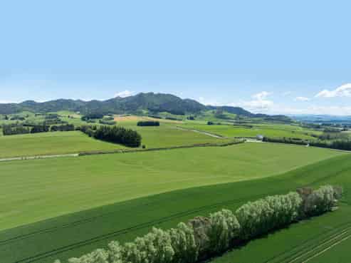 205 Reaby Road, Gore