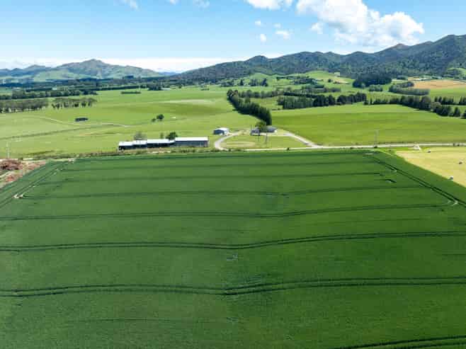 205 Reaby Road, Gore