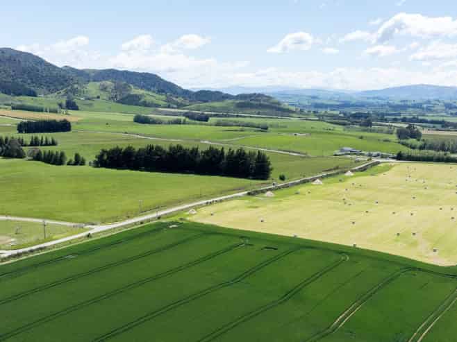 205 Reaby Road, Gore