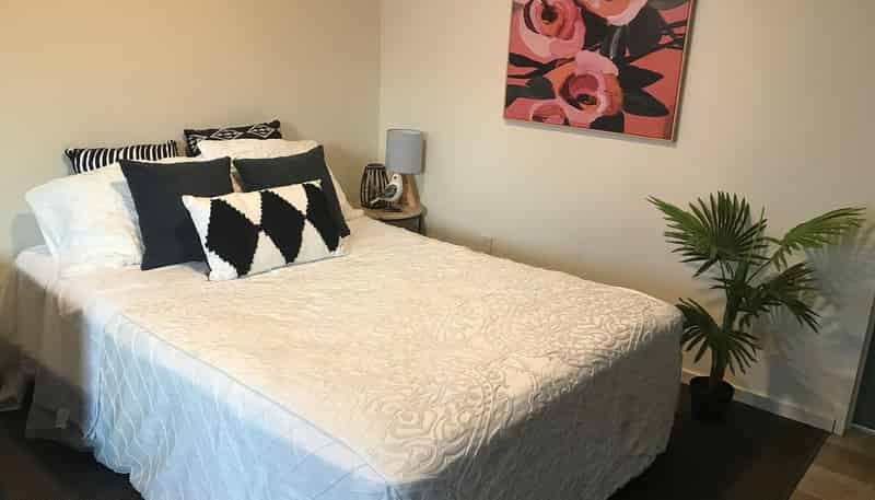 519H Leith Street, North Dunedin