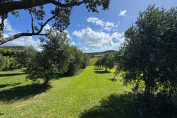 439 Sea View Road, Onetangi