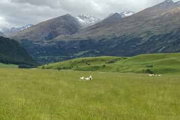 1274 Glenorchy-paradise Road, Glenorchy