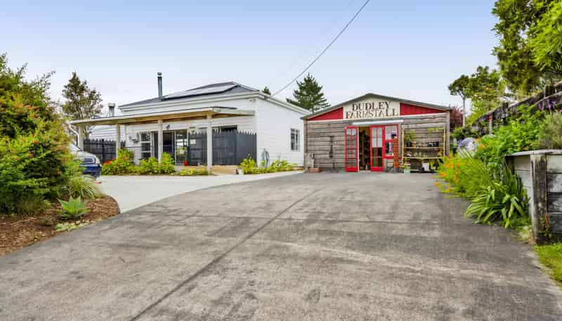 20 Dudley Road Lower, Inglewood