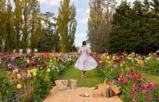 58 Moroa Road – Greytown Honey