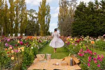 58 Moroa Road – Greytown Honey