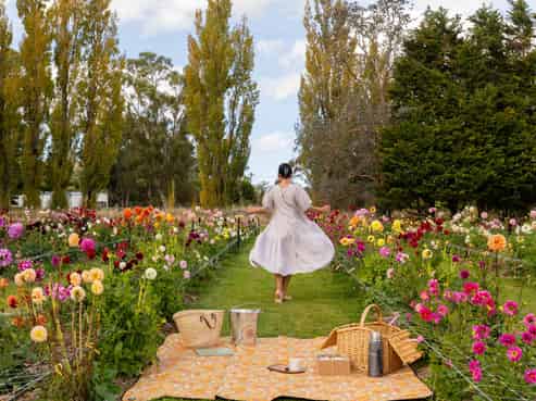 Greytown Honey - 58 Moroa Road