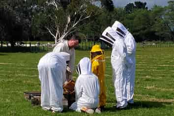 58 Moroa Road – Greytown Honey