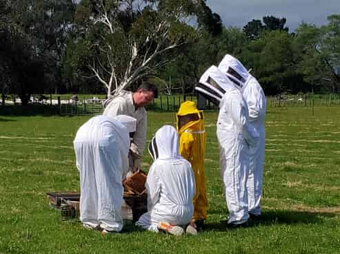 Greytown Honey - 58 Moroa Road