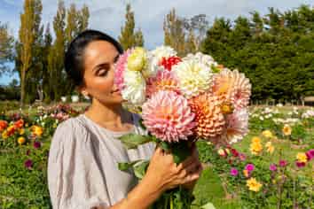 58 Moroa Road – Greytown Honey