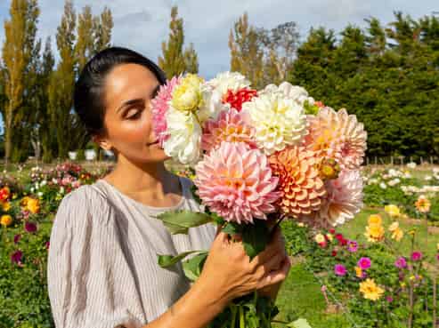 Greytown Honey - 58 Moroa Road