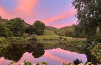 Auckland - Address withheld