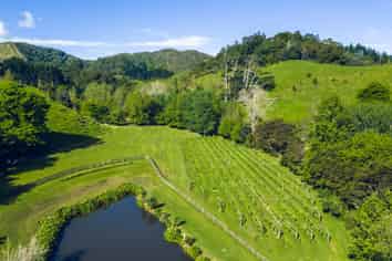 186 Twilight Road, Clevedon