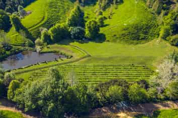 186 Twilight Road, Clevedon