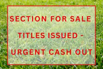 36 Piringa Road, Pukekohe