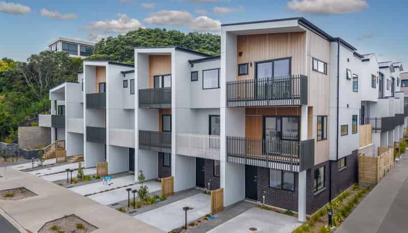 17 Tahepuia Lane, Mount Wellington