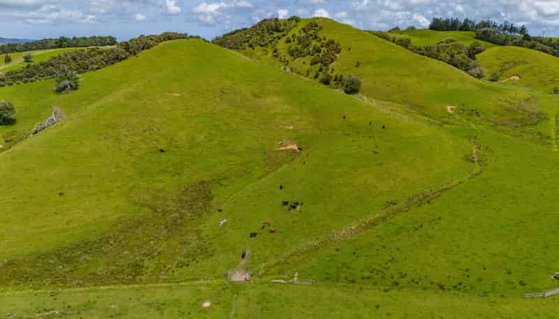 201 Clough Road, Kaitaia