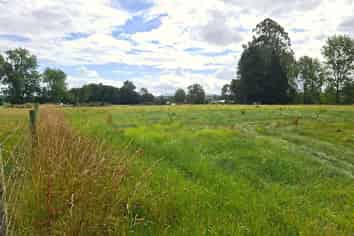 584B Orari Station Road, Geraldine