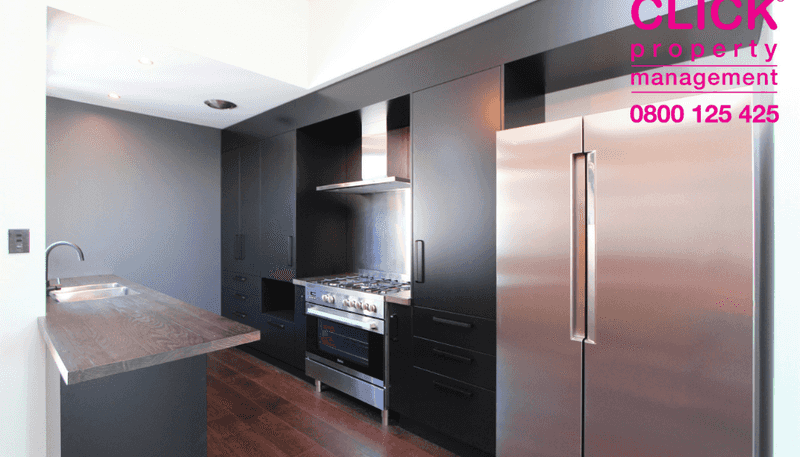 23 Maitland Street, Dunedin Central