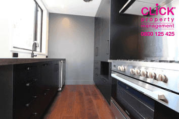 23 Maitland Street, Dunedin Central