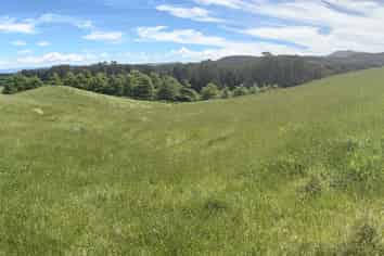 172 Hitiri Road, Kinloch