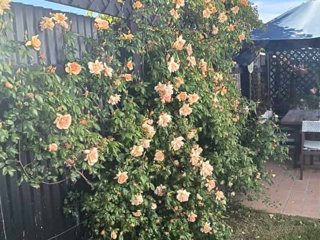  7A Terrace Street, Marton