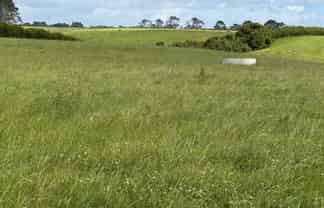 300 Opunake Road, Cardiff