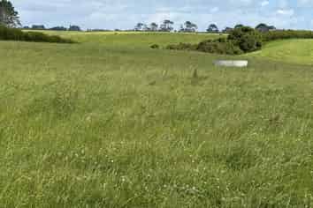 300 Opunake Road, Cardiff