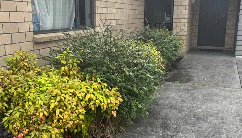 47 Sexton Road, Rototuna