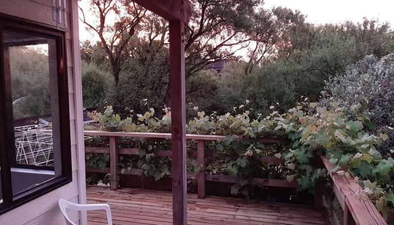 2/35 Glendon Avenue, Avondale