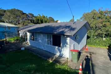 91 Willerton Avenue, New Lynn