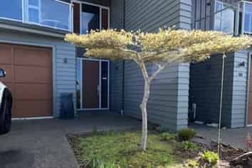 24 The Circle, Nukuhau